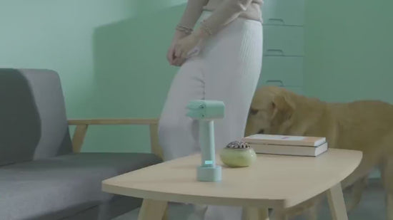 Wireless Electric Pet Comb Remove